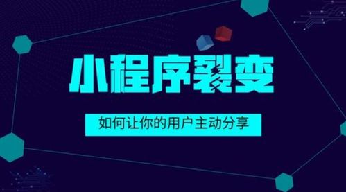 企业为何要选择定制化小程序开发,舒馨网络为您解密这背后价值