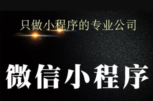 广州南沙区小程序开发 专业微信定制服务商 红匣子科技