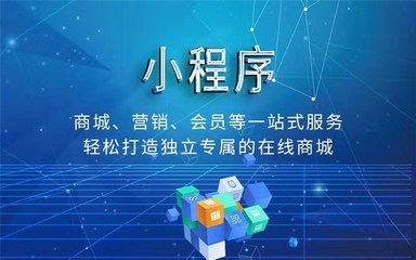 公司小程序定制开发-竹溪小程序定制开发-运涛科技(查看)